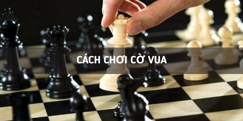 Cách chơi cờ vua: Con đường trở thành kỳ thủ chuyên nghiệp