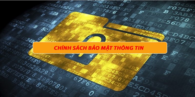 Trách nhiệm của nhà cái trong việc phát triển môi trường cá cược an toàn
