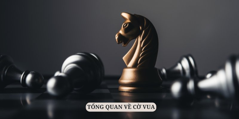 Mẹo chơi cờ vua luôn thắng là một cẩm nang hấp dẫn
